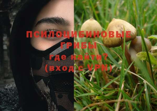 бошки Вязьма