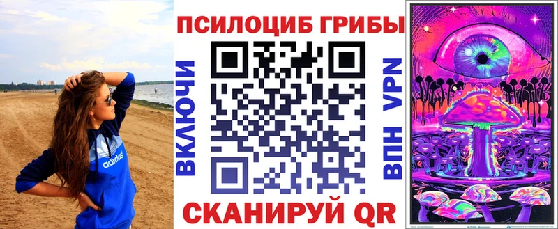Купить закладки  Спас-Клепики  Псилоцибиновые грибы GOLDEN TEACHER 